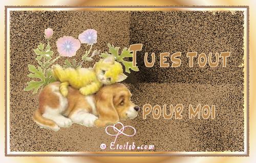 Amour
