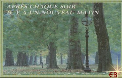 Amour