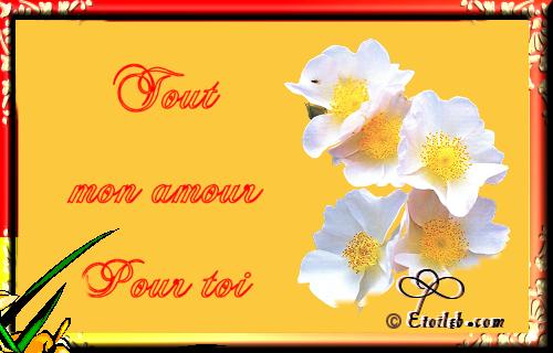 Amour