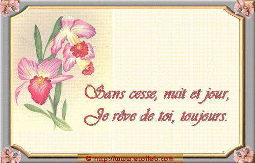 Je t'aime