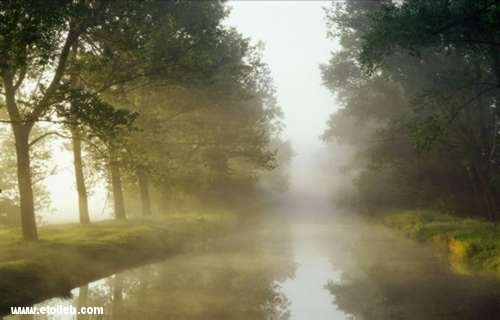 Rivire
