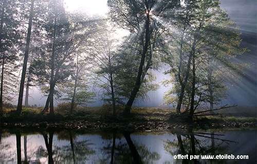 Des lueurs