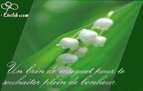 Bonne fte