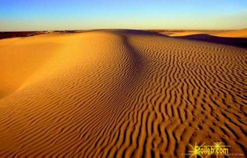 Desert