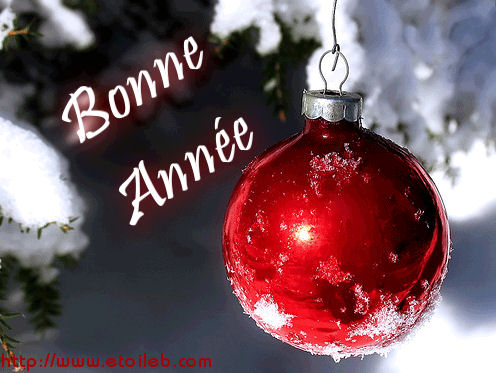 Bonne Année