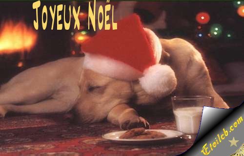Chien joyeux Noel