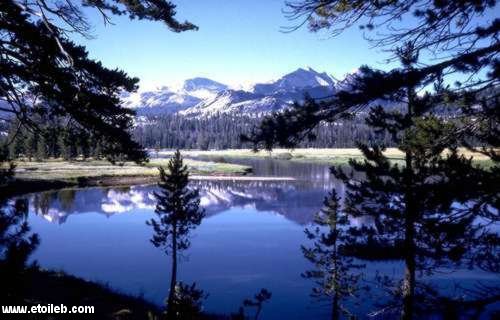 Lac