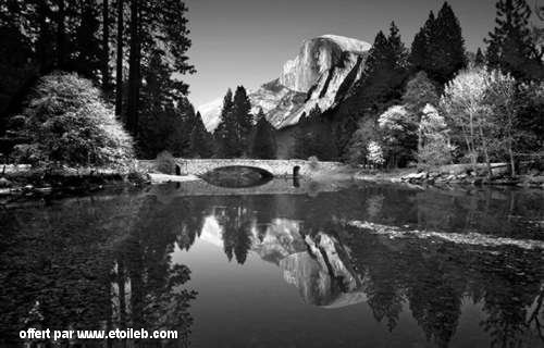 Lac