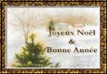 Bonne Anne