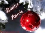 Bonne Anne